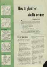 Better Homes & Gardens May 1948 Magazine Article: Dwarf fruit trees