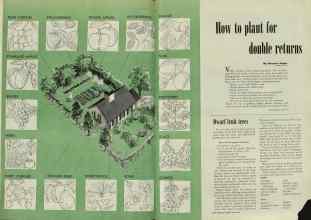 Better Homes & Gardens May 1948 Magazine Article: How to plant for double returns