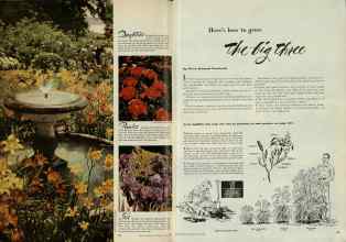 Better Homes & Gardens May 1948 Magazine Article: Here's how to grow The Big Three