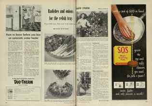 Better Homes & Gardens May 1948 Magazine Article: Page 198