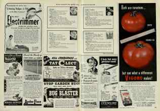 Better Homes & Gardens May 1948 Magazine Article: Page 260