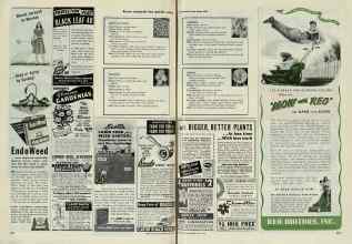 Better Homes & Gardens May 1948 Magazine Article: Page 262