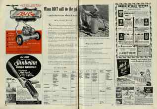 Better Homes & Gardens May 1948 Magazine Article: When DDT will do the job