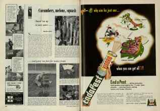 Better Homes & Gardens May 1948 Magazine Article: Page 266