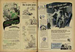 Better Homes & Gardens May 1948 Magazine Article: Page 272