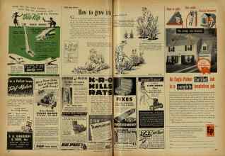 Better Homes & Gardens May 1948 Magazine Article: Page 274