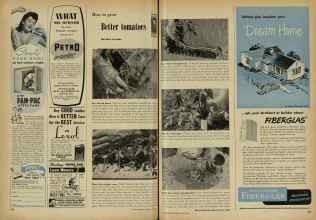 Better Homes & Gardens May 1948 Magazine Article: How to grow Better tomatoes