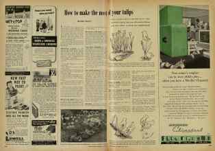 Better Homes & Gardens May 1948 Magazine Article: How to make the most of your tulips