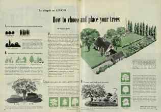 Better Homes & Gardens June 1948 Magazine Article: How to choose and place your trees