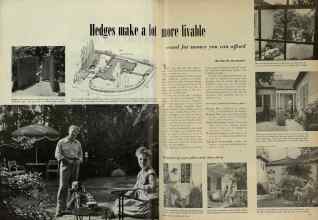 Better Homes & Gardens June 1948 Magazine Article: Hedges make a lot more livable