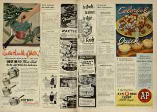 Better Homes & Gardens June 1948 Magazine Article: Page 102