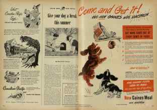 Better Homes & Gardens June 1948 Magazine Article: Page 200