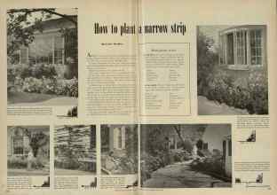 Better Homes & Gardens June 1948 Magazine Article: How to plant a narrow strip
