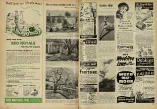 Better Homes & Gardens June 1948 Magazine Article: Page 252
