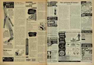 Better Homes & Gardens June 1948 Magazine Article: Page 256