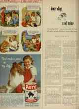 Better Homes & Gardens July 1948 Magazine Article: Your dog and mine