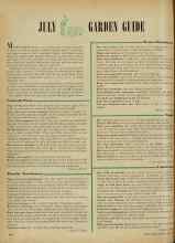 Better Homes & Gardens July 1948 Magazine Article: JULY GARDEN GLIDE