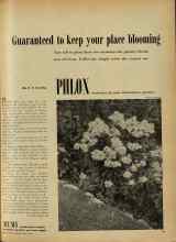 Better Homes & Gardens July 1948 Magazine Article: PHLOX mainstay of your midsummer garden