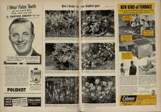 Better Homes & Gardens July 1948 Magazine Article: Page 136