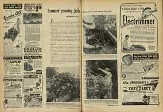 Better Homes & Gardens July 1948 Magazine Article: Summer pruning guide