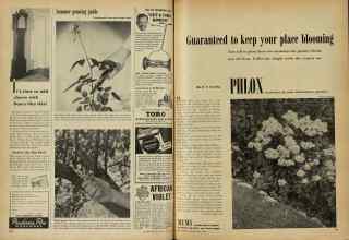 Better Homes & Gardens July 1948 Magazine Article: Page 150