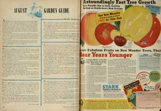 Better Homes & Gardens August 1948 Magazine Article: Page 146