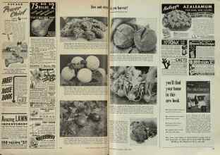 Better Homes & Gardens August 1948 Magazine Article: Page 152