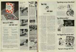 Better Homes & Gardens August 1948 Magazine Article: Page 162