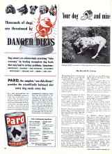 Better Homes & Gardens September 1948 Magazine Article: Your dog and mine