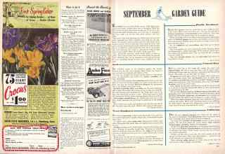 Better Homes & Gardens September 1948 Magazine Article: Page 234
