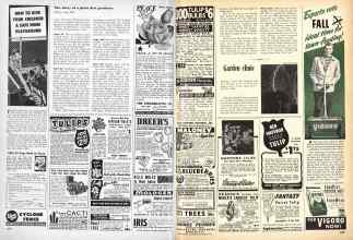 Better Homes & Gardens September 1948 Magazine Article: Page 238