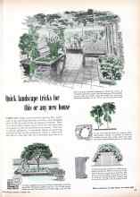 Better Homes & Gardens October 1948 Magazine Article: Quick landscape tricks for this or any new house