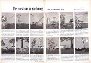 Better Homes & Gardens October 1948 Magazine Article: The worst sins in gardening