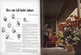 Better Homes & Gardens October 1948 Magazine Article: Move four fall border indoors