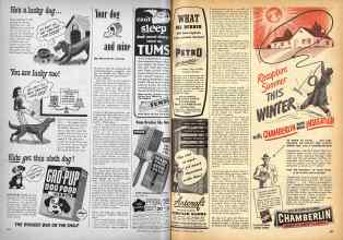 Better Homes & Gardens October 1948 Magazine Article: Your dog and mine