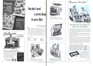 Better Homes & Gardens October 1948 Magazine Article: You don't need a green thumb to grow lilies