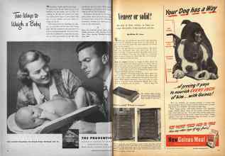 Better Homes & Gardens November 1948 Magazine Article: Page 12