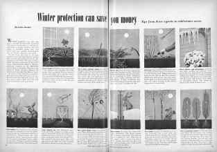 Better Homes & Gardens November 1948 Magazine Article: Page 44