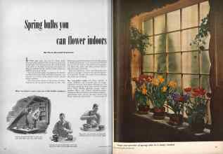 Better Homes & Gardens November 1948 Magazine Article: Page 50