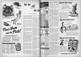 Better Homes & Gardens November 1948 Magazine Article: Your dog and mine