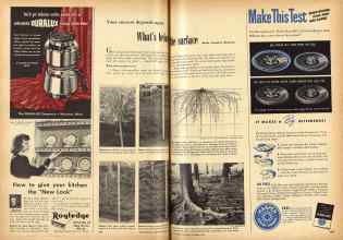 Better Homes & Gardens November 1948 Magazine Article: Page 256