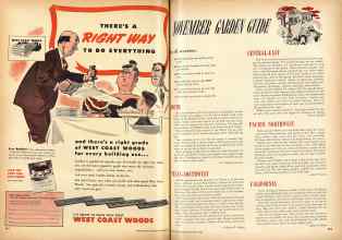 Better Homes & Gardens November 1948 Magazine Article: Page 262