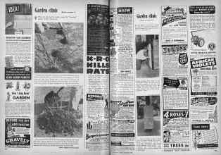 Better Homes & Gardens November 1948 Magazine Article: Page 264