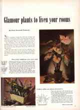 Better Homes & Gardens December 1948 Magazine Article: Glamour plants to liven your rooms