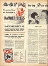 Better Homes & Gardens December 1948 Magazine Article: Your dog and mine
