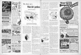 Better Homes & Gardens December 1948 Magazine Article: The diary of a Plain dirt gardener