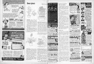 Better Homes & Gardens December 1948 Magazine Article: Page 204