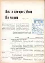 Better Homes & Gardens January 1949 Magazine Article: How to have quick bloom this summer