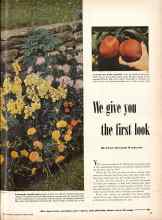 Better Homes & Gardens January 1949 Magazine Article: We give you the first look