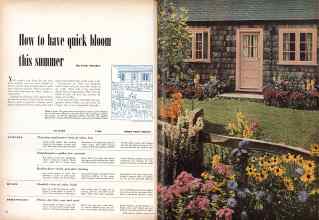 Better Homes & Gardens January 1949 Magazine Article: Page 38